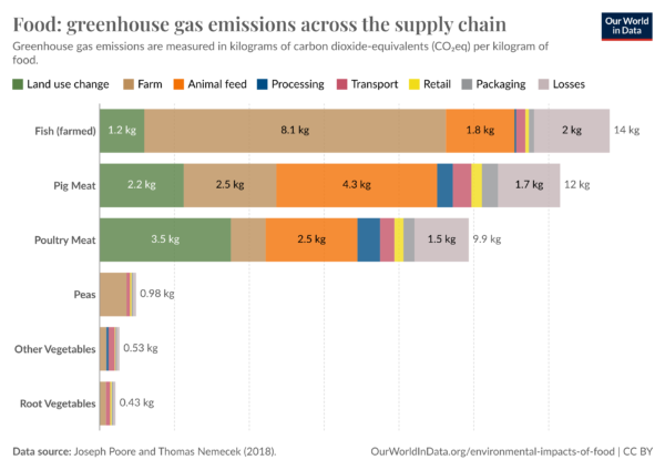 CO2 išskyrimas augalinis maistas